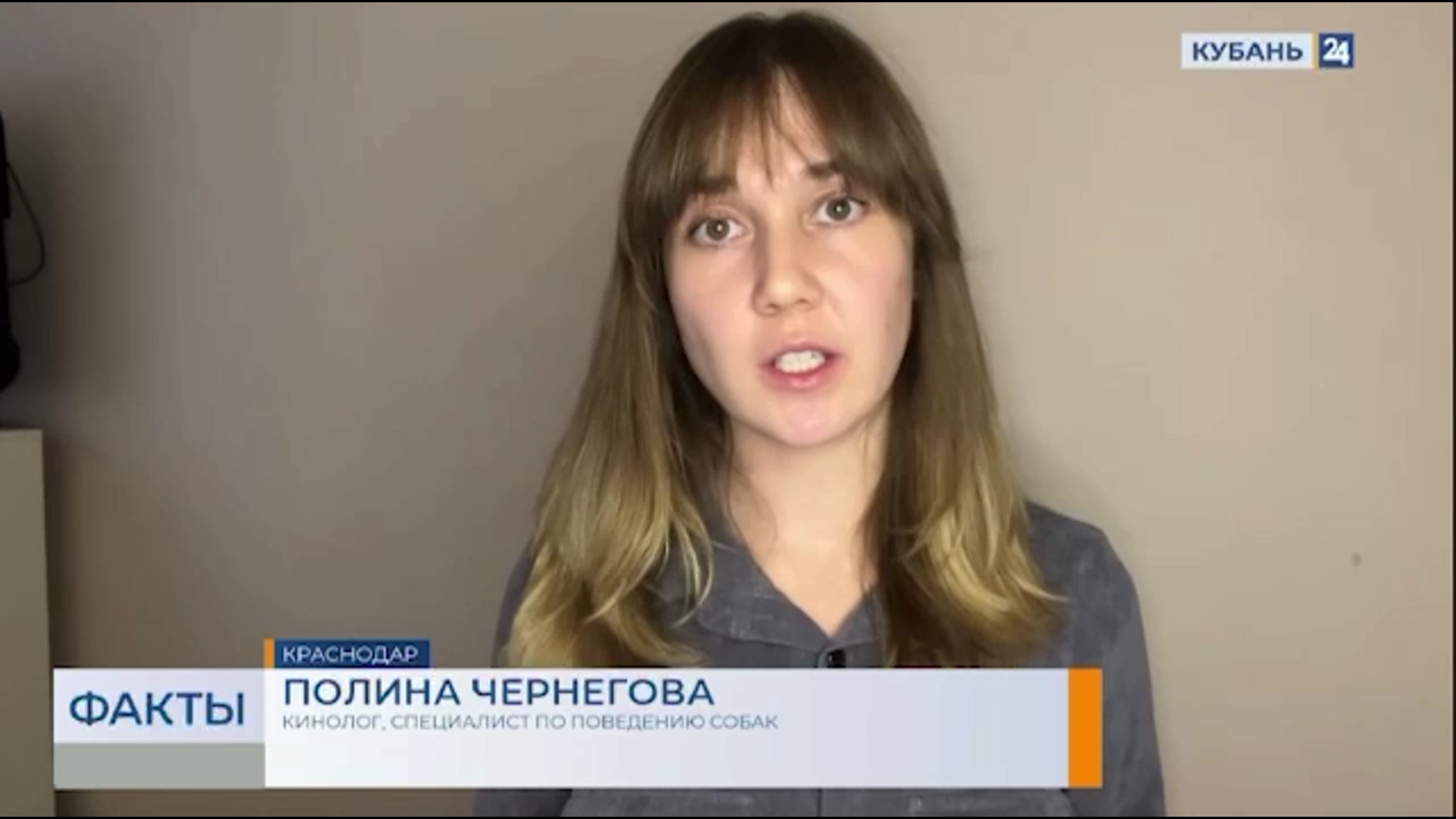Экспертное мнение на телеканале Кубань 24